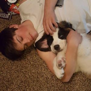 Meet your Posher, Patrick